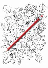 Botanicum sketch template