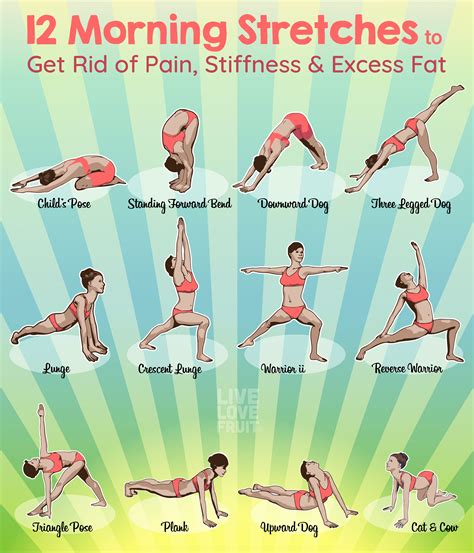morning stretches     rid  pain stiffness  excess fat  love fruit