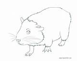 Guinea Pig Coloring Pages Printable Kids Adults Color Print sketch template