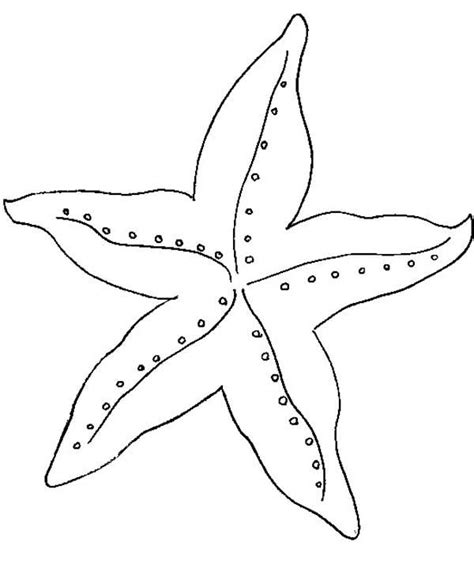 amazing starfish coloring page kids play color