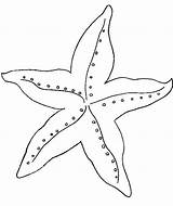 Starfish Coloring Pages Fish Star Amazing Kids Sheets Printable Crafts Mesmerizing Beauty Print Color Designlooter Stag Animals 41kb 715px sketch template