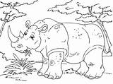Rinoceronte Nashorn Neushoorn Rhinoceros Malvorlage Animali Feroci Ausmalbild Ausdrucken Kleurplaten Rhinocéros Große Schulbilder Educima sketch template