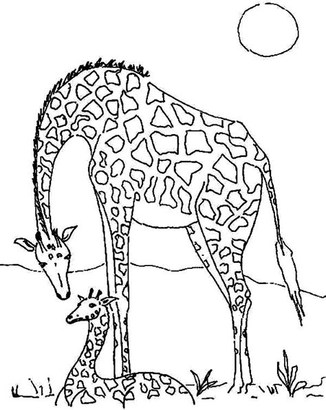 pin  giraffe coloring pages