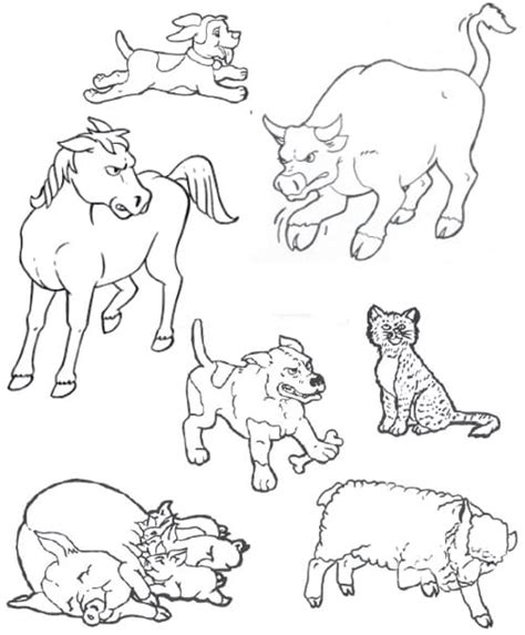 wildlifedepartment coloring pages