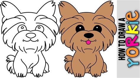 yorkie   draw yorkie cute puppy kak risovat como desenhar