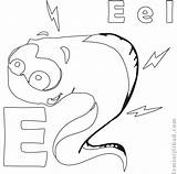 Eel Coloring Pages Printable Coloringfolder sketch template
