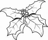 Holly Coloring Pages Getcolorings sketch template