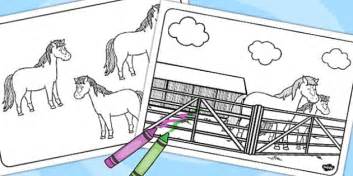 pictures  colour   horses primary resources twinkl
