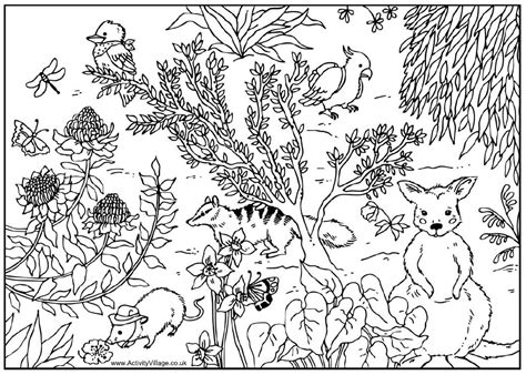 animal habitat colouring pages coloring  drawing