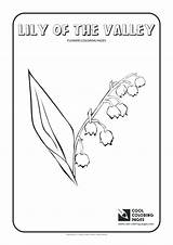 Valley Coloring Lily Pages Getdrawings Getcolorings sketch template