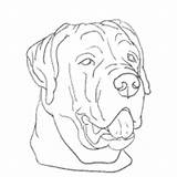 Rottweiler Coloring Pages Designlooter Drawings Surfnetkids 200px 89kb sketch template