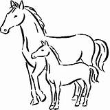 Coloring Pages Horse Baby Horses sketch template