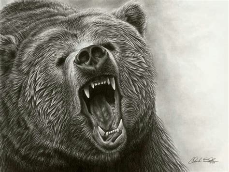 p grizzly bear drawing realistic animal drawings grizzly bear