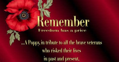 veterans day poems  tributes grave interest  honor   veterans  veterans day