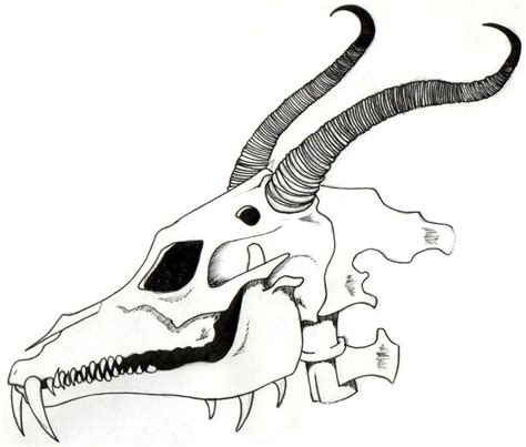 dragon skull  troublecat  deviantart