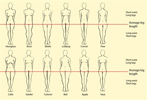 female body types health related