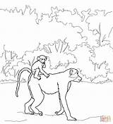 Baboon Coloring Pages Baby Drawing Back Mandrill Drawings Rides Mothers Getdrawings Face Printable 61kb 1200 sketch template