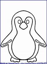 Pingouin Coloriage Colorier Imprimer Pingouins Dessin Google Clipart Un Animaux Bird Dessins sketch template