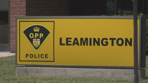 hit  run  leamington ctv news