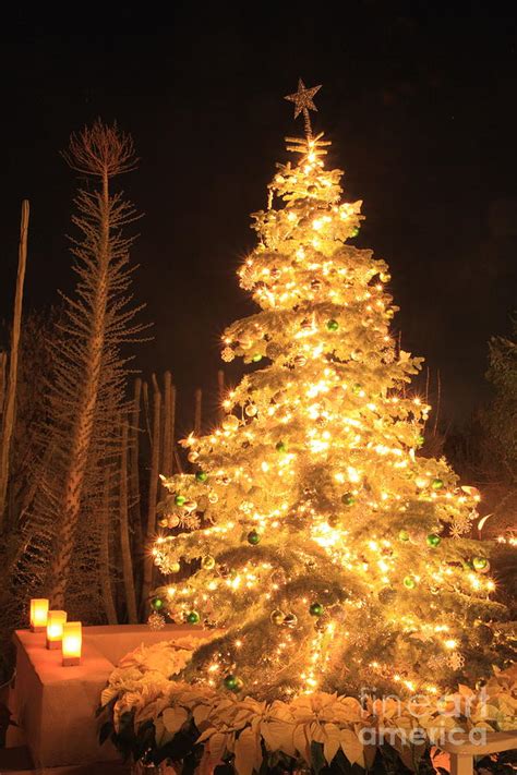 christmas tree lights photograph  boon mee fine art america