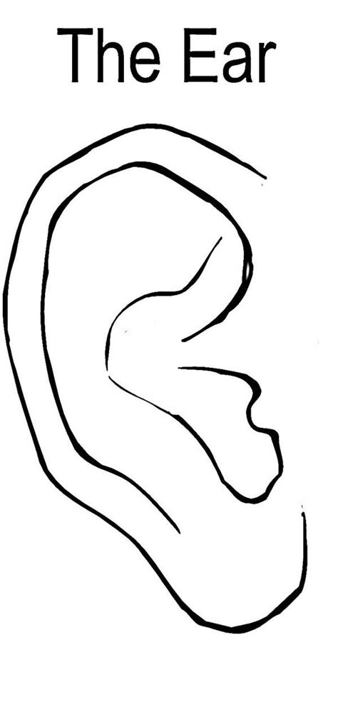 pair  ears pages coloring pages
