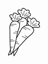 Coloring Carrot Pages Vegetables sketch template