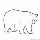 Bear Coloring Outline Coloring4free Related Posts sketch template