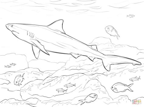 printable shark coloring pages everfreecoloringcom