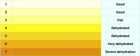 practicesurvivalcom health urine color chart