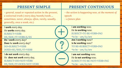 present simple  present continuous review  forms  exercises