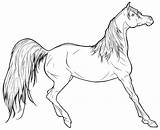 Horse Coloring Pages Cowboy Getcolorings sketch template