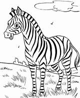 Zebra Coloring Happy sketch template