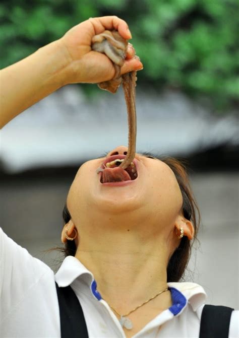 Weird Koreans Eating Live Octopus Lifestyle Pen