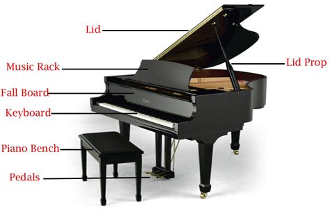 understanding  piano parts greg dailey piano service