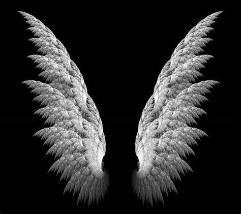 angel wings wallpapers top  angel wings backgrounds wallpaperaccess