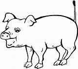 Pig Coloring Hungry Eat Want sketch template