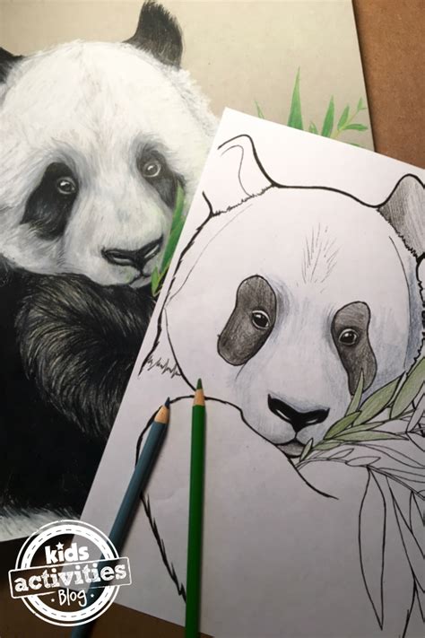 panda coloring pages  kids kids activities blog
