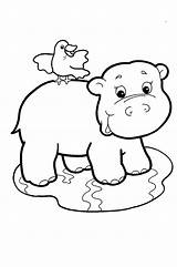 Coloring Baby Pages Zoo Hippo Animal Cute Animals Babies Template Popular Coloringhome sketch template