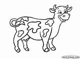 Vaca Vacas Toros Bueyes Animados Toro Chachipedia Buey sketch template
