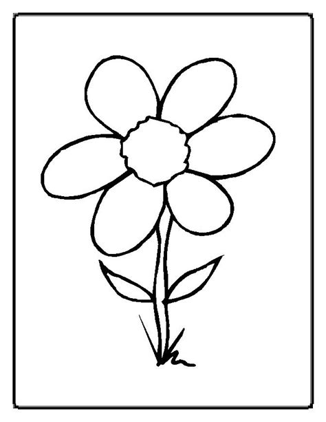 flower coloring pages coloring pages  print