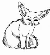 Fox Fennec Foxes Netart Mandala Coloring sketch template