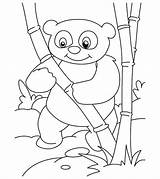 Panda Coloring Pages Bear Printable Cute Little sketch template
