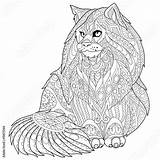 Zentangle Coon Stylized Doodle sketch template