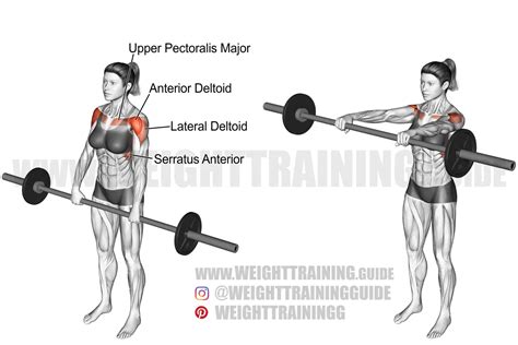 barbell front raise exercise instructions  video weighttrainingguide