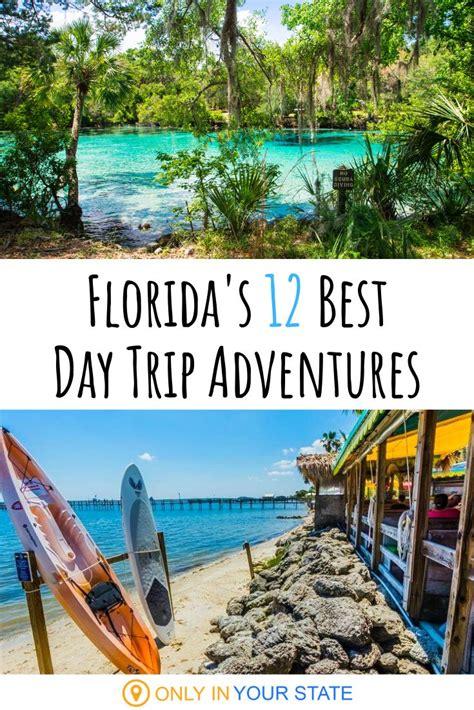 unforgettable florida day trips    month   year