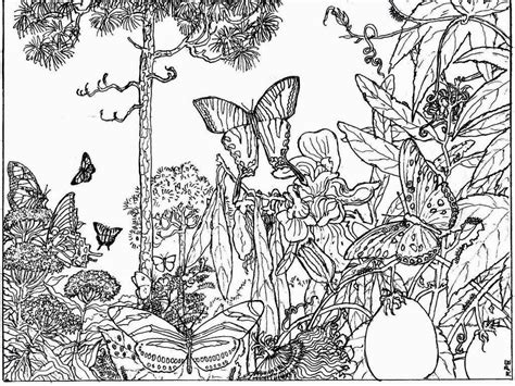 coloring pages nature scenes  getdrawings