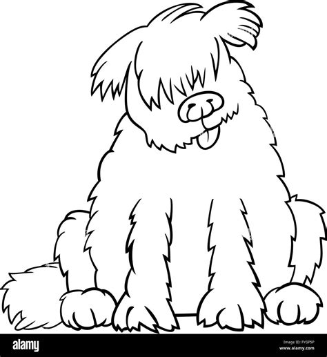 newfoundland dog cartoon  coloring book stock photo alamy