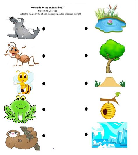 matching animals   home worksheet crafts  worksheets