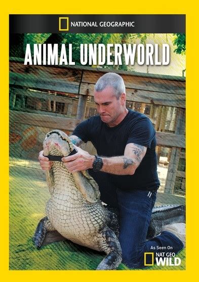 buy animal underworld dvd
