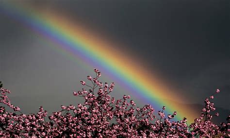 fly   rainbow   break  laws  physics